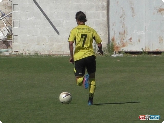 שער מדהים. הררי מתקדם (שקד מורג)